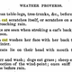 Image for article titled Cats Can Predict the Weather, Says Really Old Book